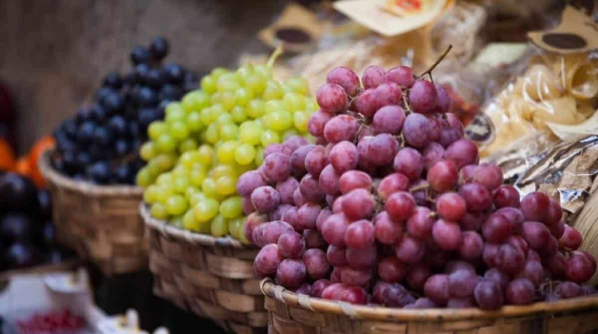 precio uvas